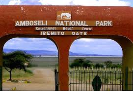 2-Days Expedition- Amboseli National Park and Mt Kilimanjaro Views