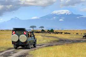 7-Days Midrange Bush and Beach Holiday - Amboseli NP and Diani