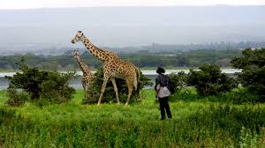 1-Day Excursion- Hells Gate, Crescent Island & Lake Naivasha Safari