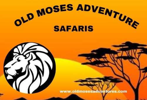 Old Moses Adventures