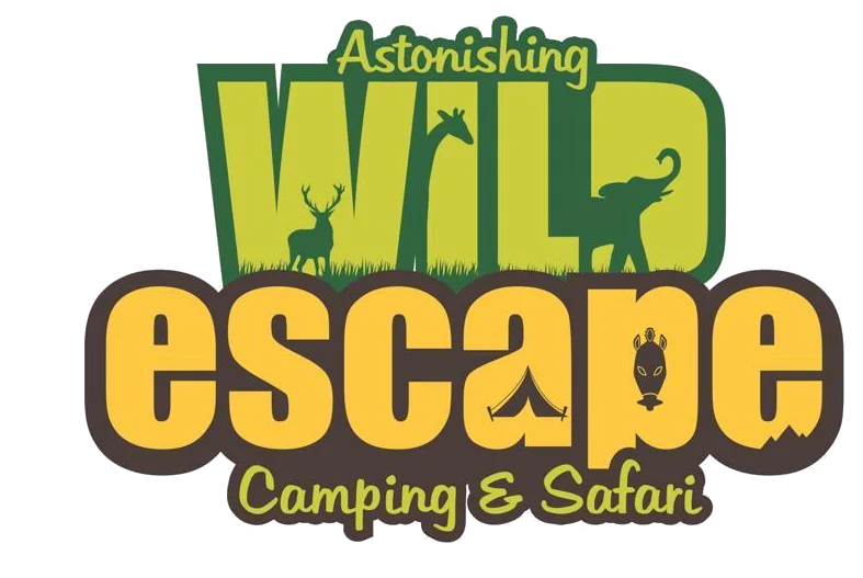 Wild Escape Camping