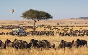 4-Days Roaming Mara & Lake Nakuru Budget Safari