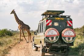 1-Day Explore Lake Nakuru National Park