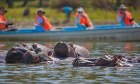 5-Days Safari- Nairobi Tour, Lake Naivasha & Amboseli