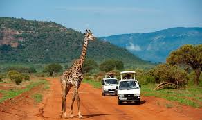 3-Days Kenya Safari exploring Tsavo East & Tsavo West National Parks