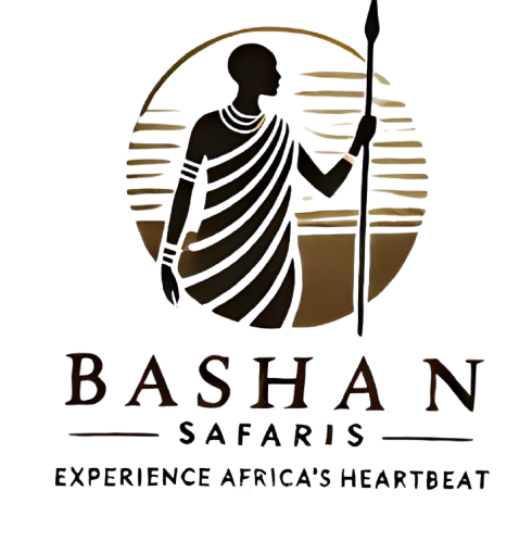 Bashan Safaris